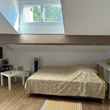 Paradis Calme En Plein Centre Ville Montpellier Zewnętrze zdjęcie
