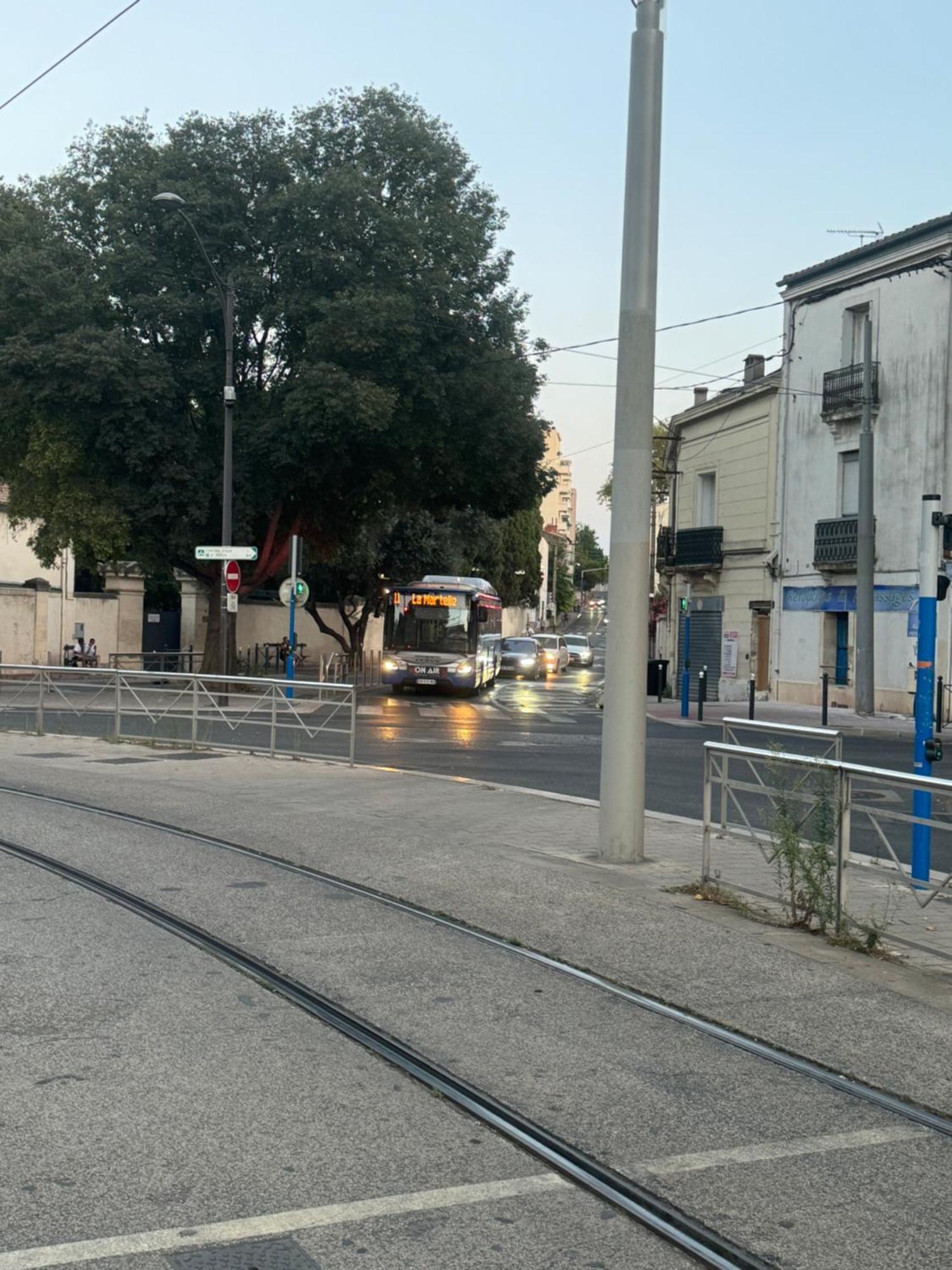 Paradis Calme En Plein Centre Ville Montpellier Zewnętrze zdjęcie