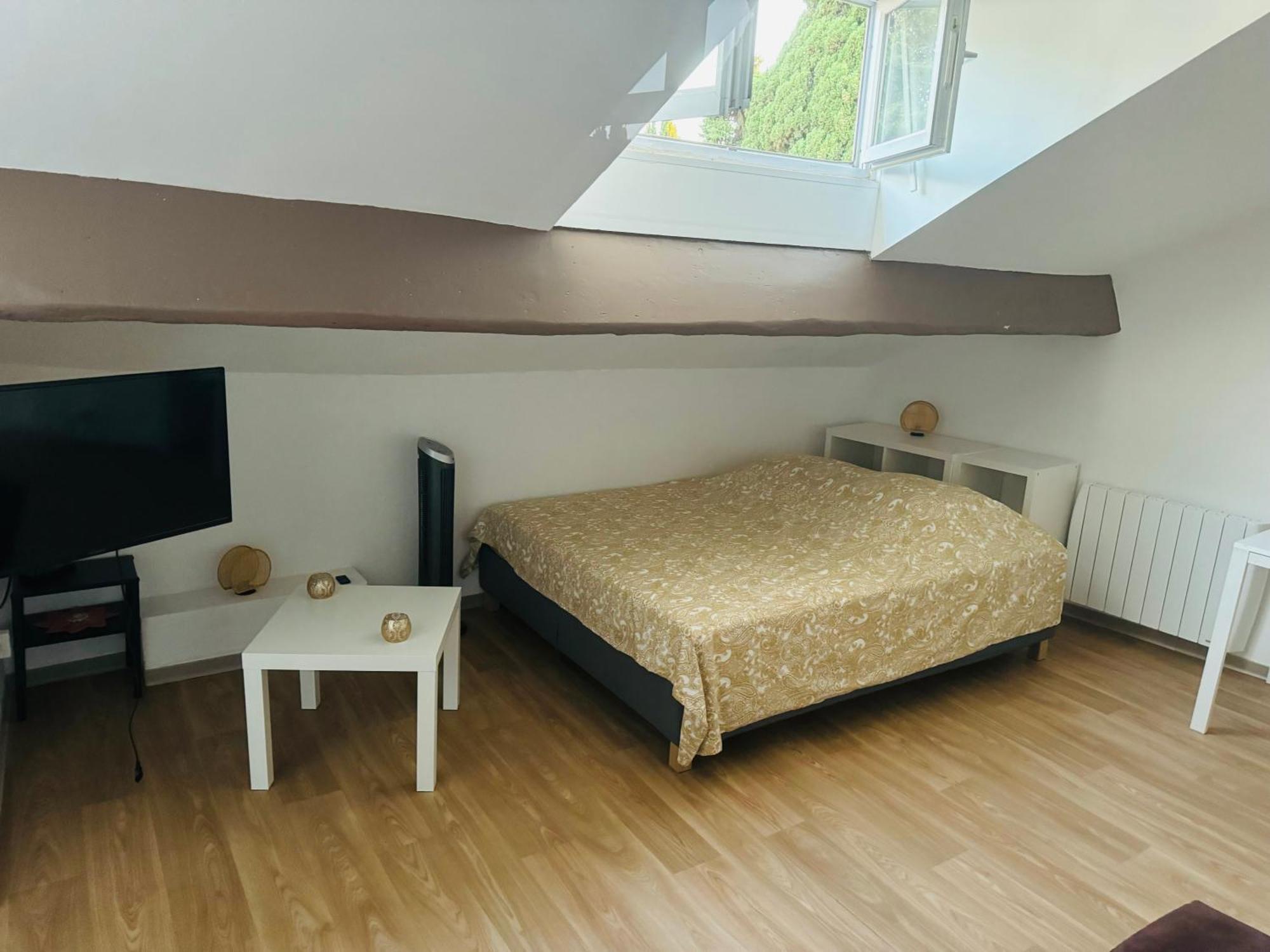 Paradis Calme En Plein Centre Ville Montpellier Zewnętrze zdjęcie