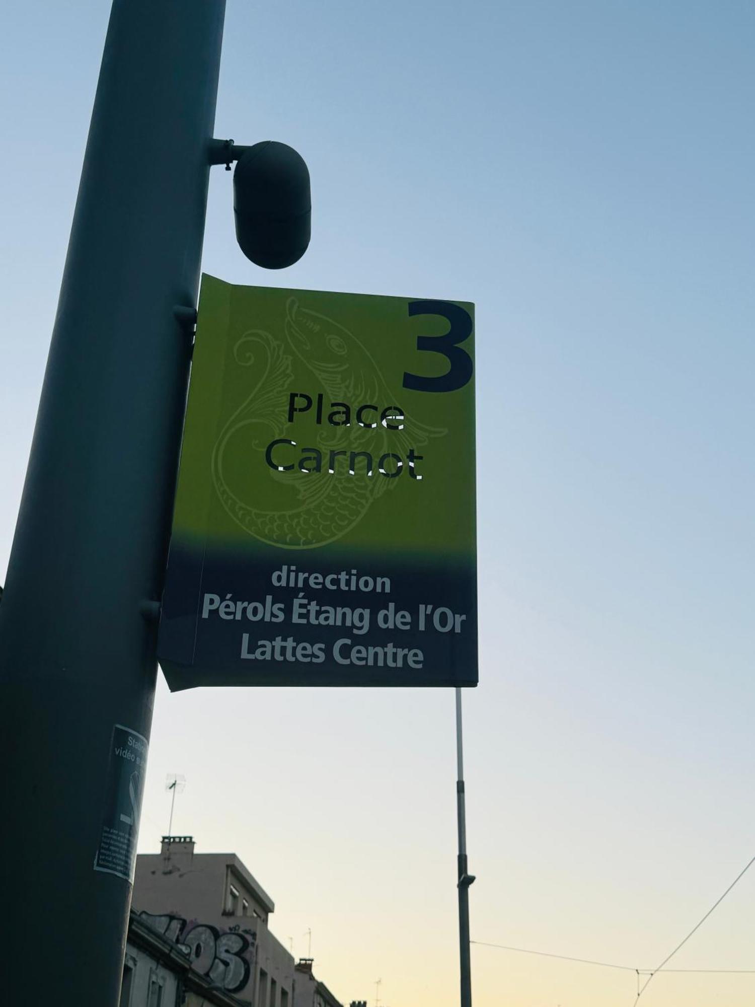 Paradis Calme En Plein Centre Ville Montpellier Zewnętrze zdjęcie